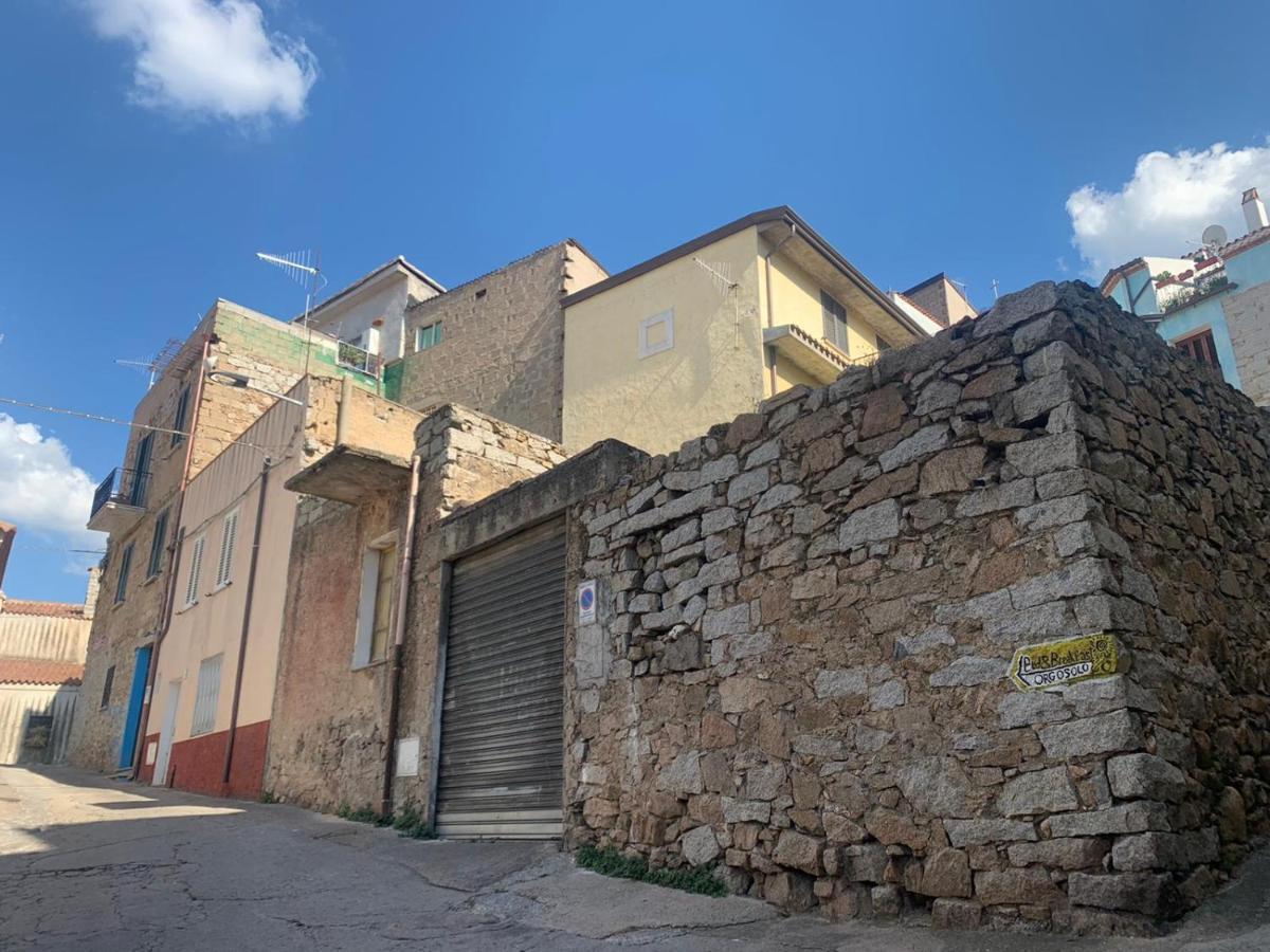 Orgosolo B&B Sardegna Екстериор снимка