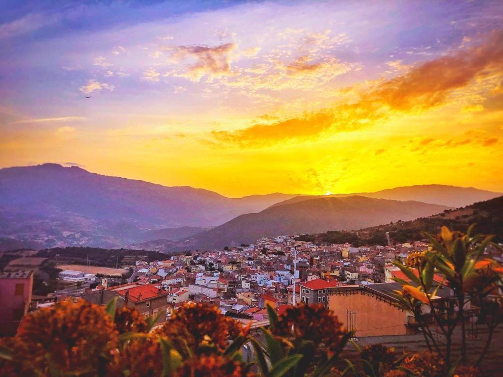 Orgosolo B&B Sardegna Екстериор снимка