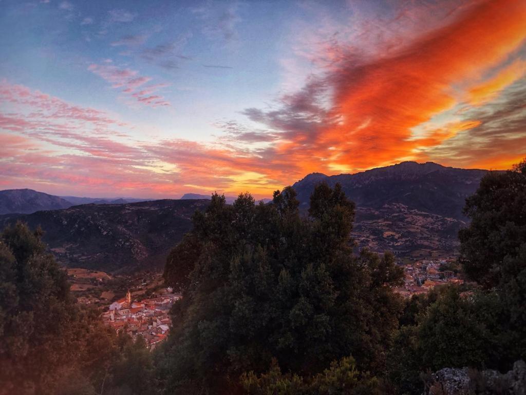 Orgosolo B&B Sardegna Екстериор снимка
