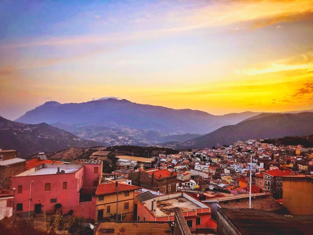 Orgosolo B&B Sardegna Екстериор снимка