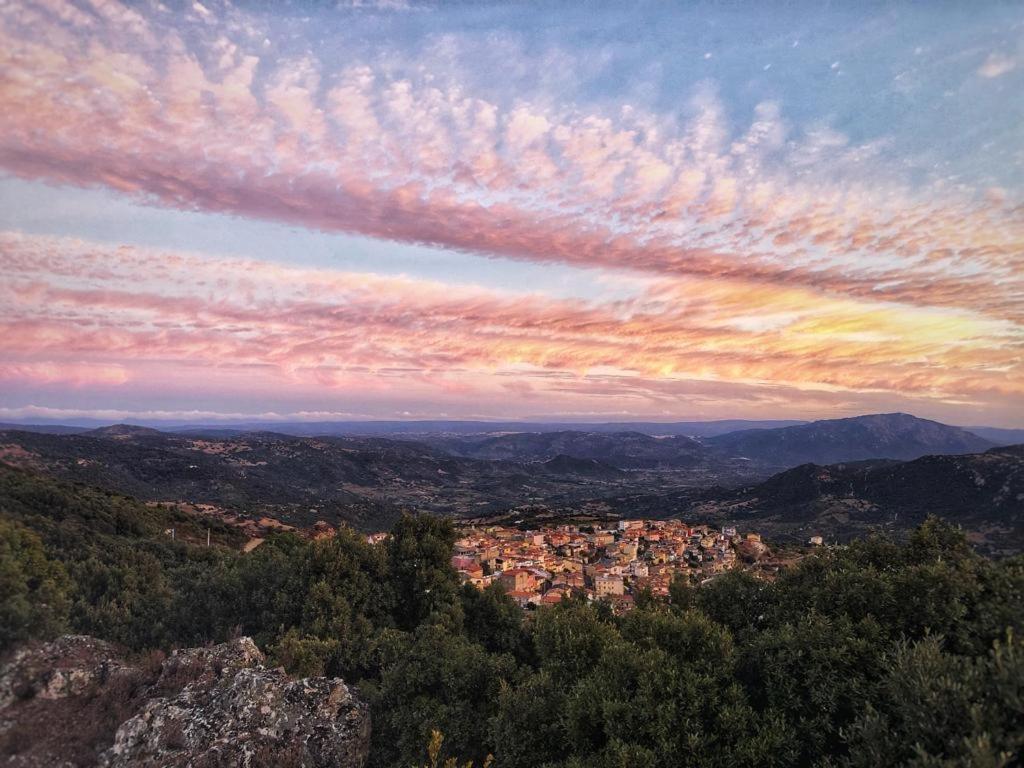 Orgosolo B&B Sardegna Екстериор снимка